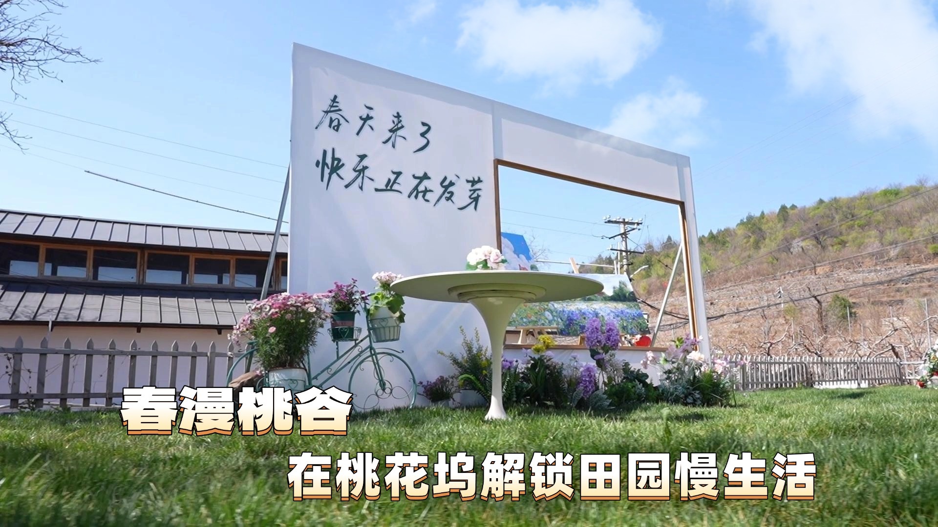 春漫桃谷 在桃花坞解锁田园慢生活 春漫桃谷 在桃花坞解锁田园慢生活