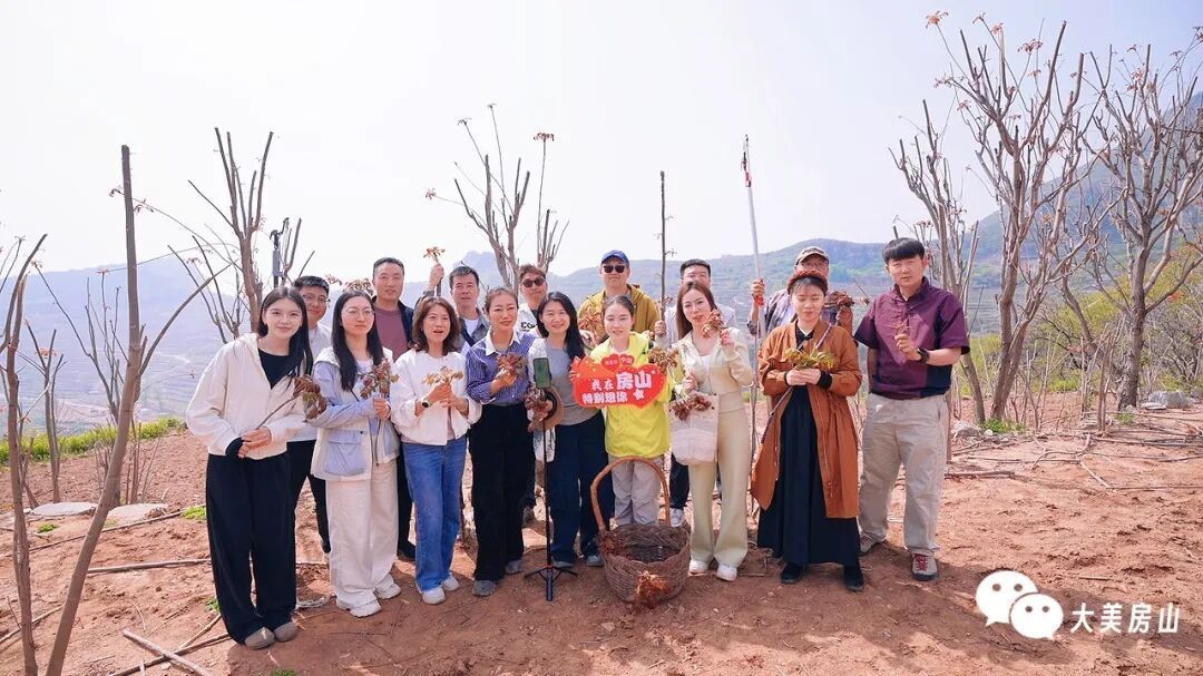 房山文旅推介官带你寻春~采摘、民宿、美食全安排,这条线闭眼冲! 房山文旅推介官带你寻春~采摘、民宿、美食全安排,这条线闭眼冲!