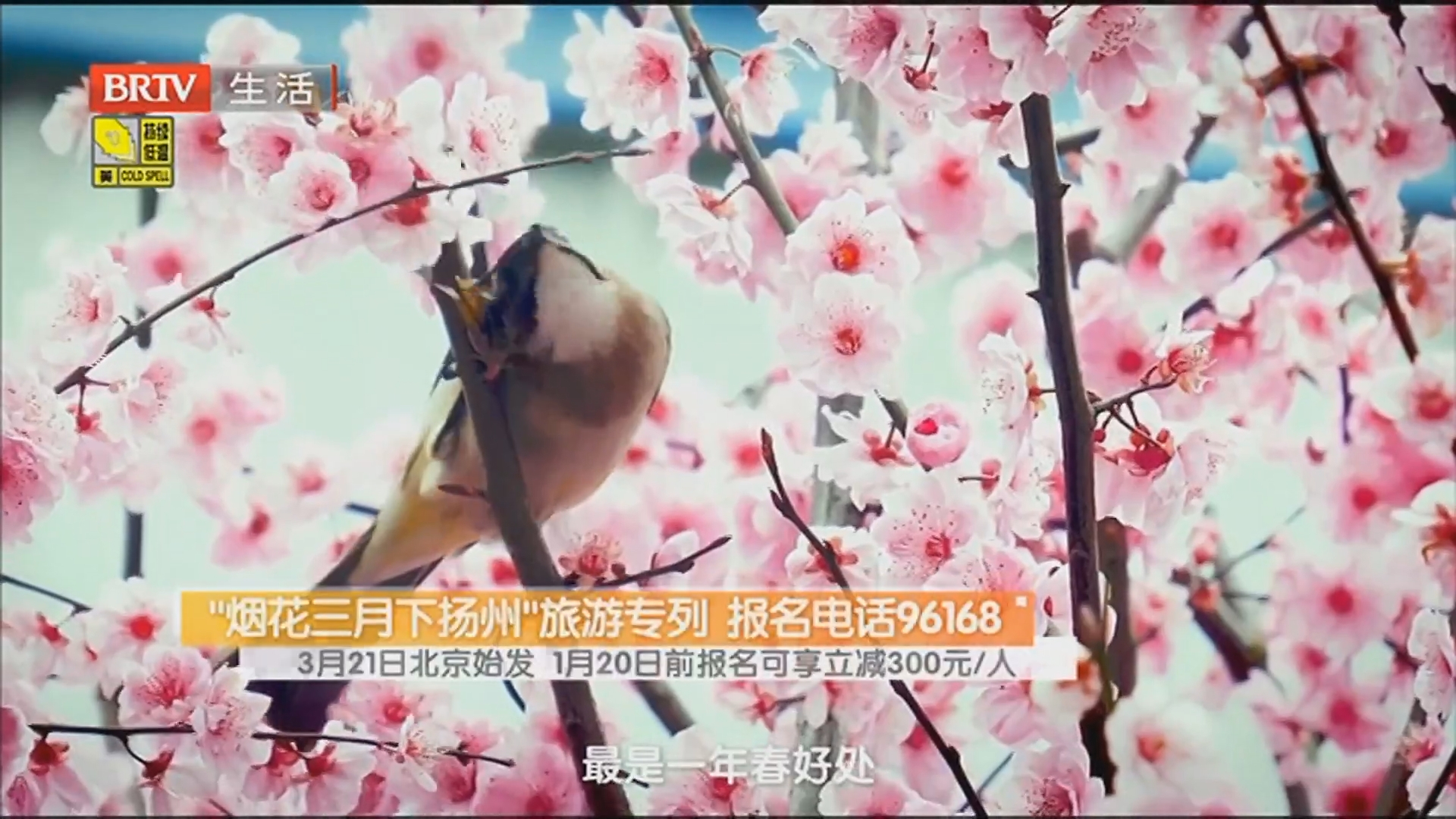 “烟花三月下扬州”旅游专列 报名电话96168 3月21日北京始发 1月20日前报名可享立减300元/人