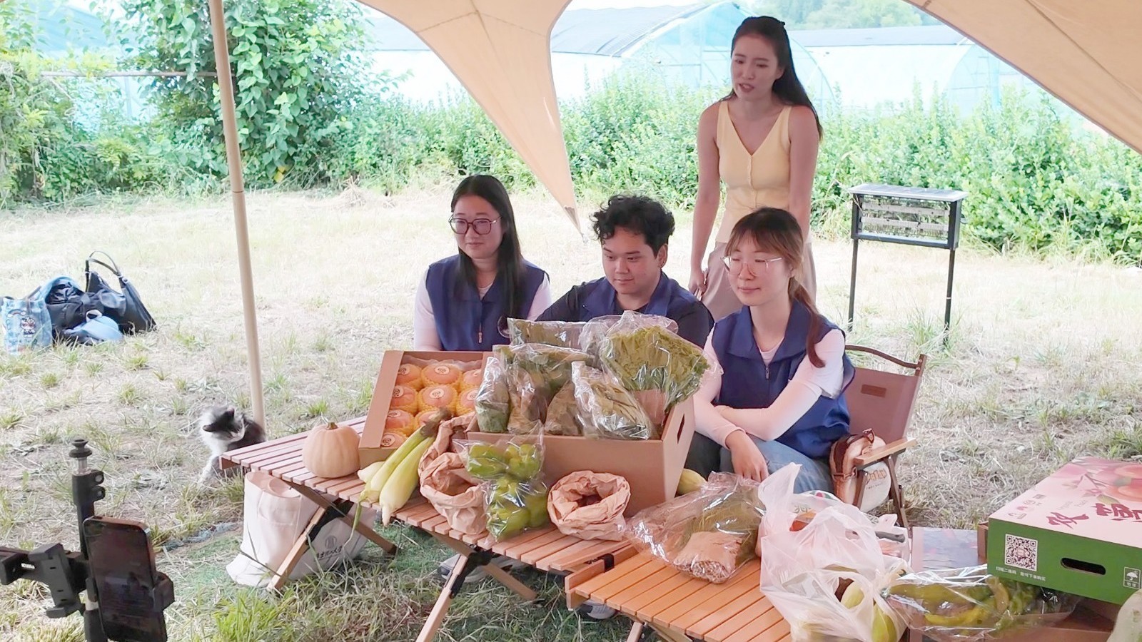 青春力量扎根沃土 实践之花绽放平谷 青春力量扎根沃土 实践之花绽放平谷