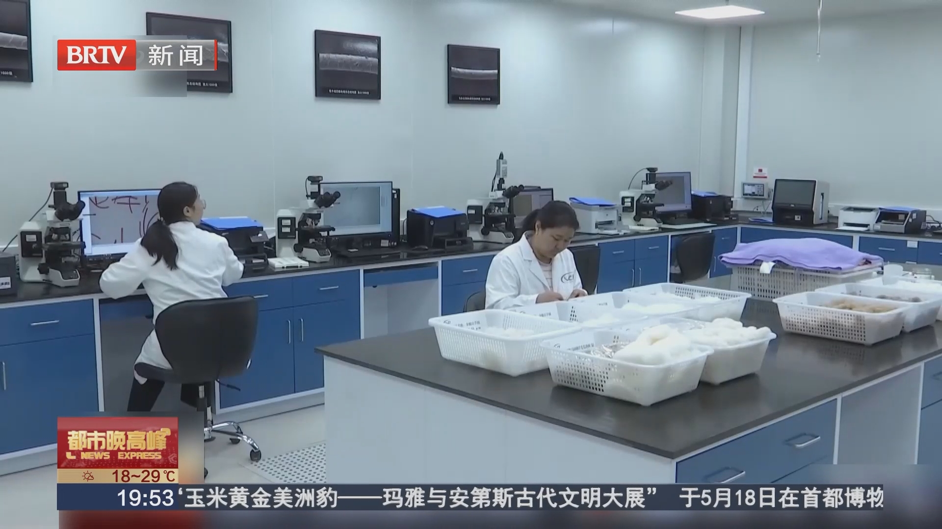 检验揭开真相 绵羊绒是“毛”不是“绒”