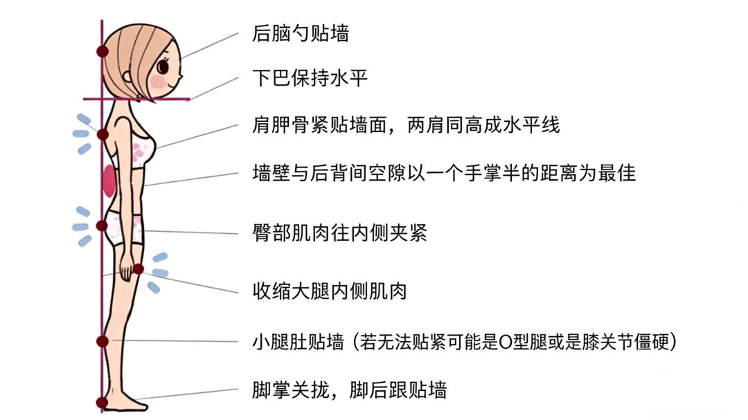 2026，好好“养”自己！这8个“变年轻”的习惯你知道吗？