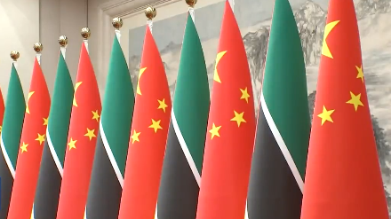 习近平同莫桑比克总统查波会谈 习近平同莫桑比克总统查波会谈