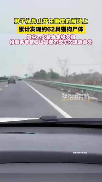 男子从乐山到重庆的高速上，发现约62具猫狗尸体，不少穿着宠物衣服