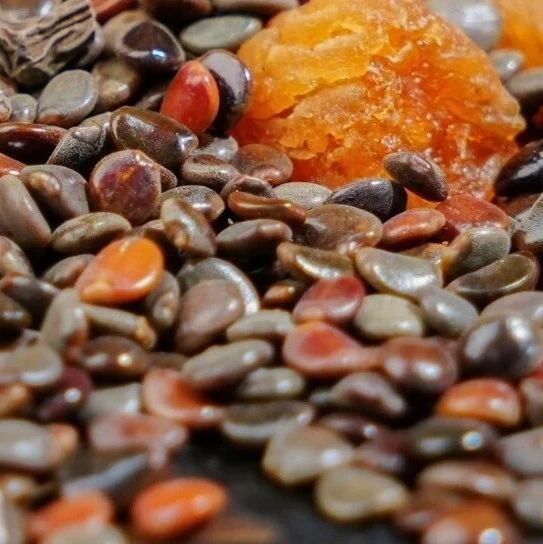 换季睡不着，抓紧吃这“睡眠果”！早醒、多梦都怕它，呼呼一觉到天亮