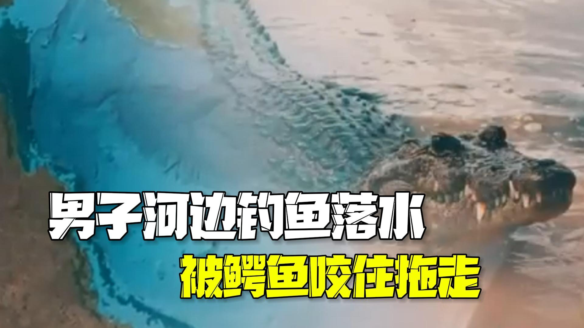 澳大利亚男子河边钓鱼不慎落水 被鳄鱼咬住拖走后失踪 澳大利亚男子河边钓鱼不慎落水 被鳄鱼咬住拖走后失踪