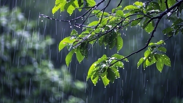 最低9℃！北京未来两天有持续降雨 气温下降明显
