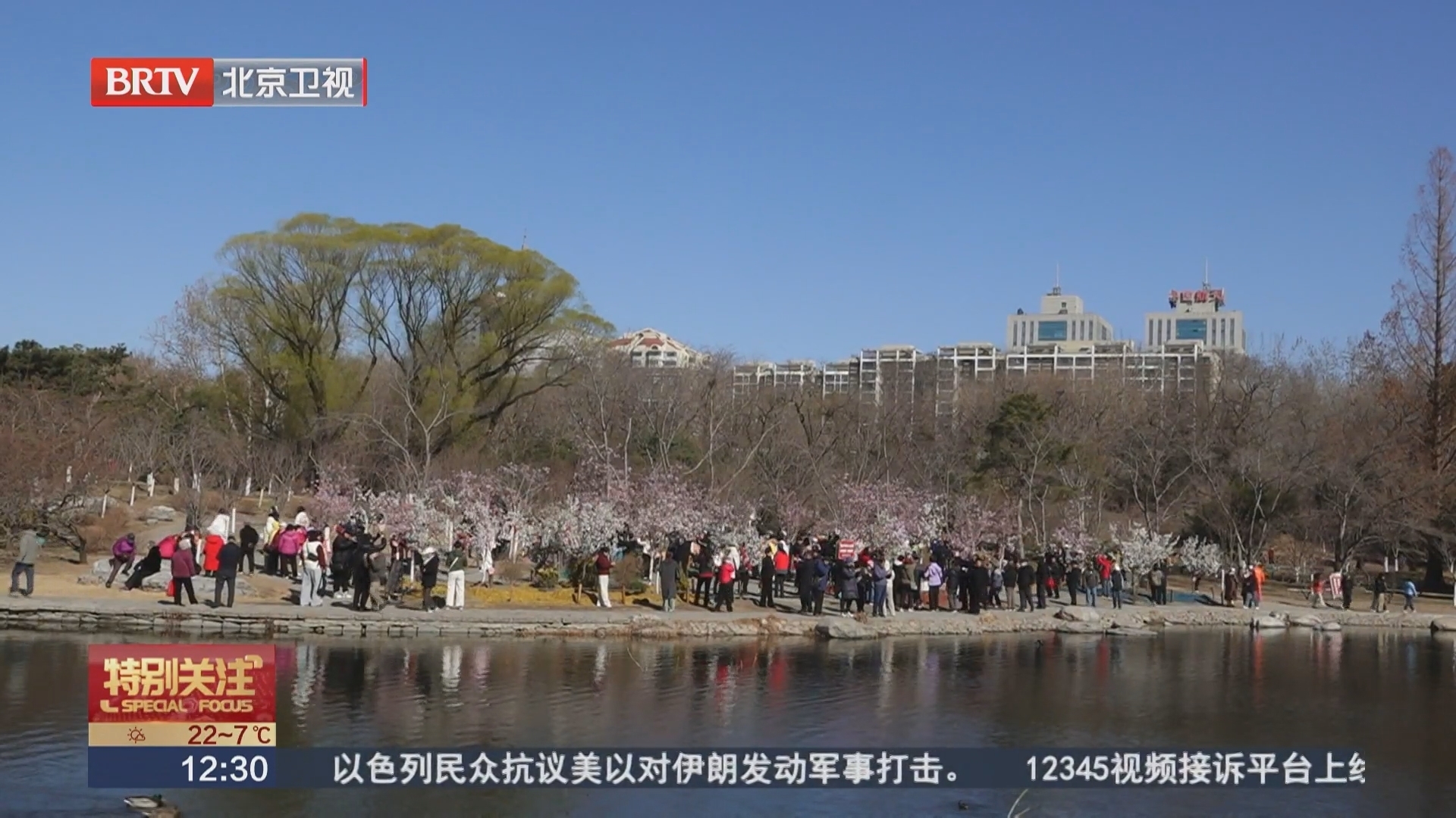 玉渊潭早樱开放 周六迎客10万人次