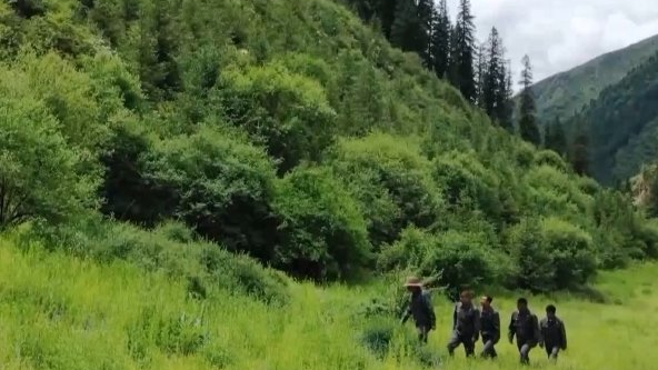 我国新型自然保护地体系初步建成 5个国家公园带动近5万人就业