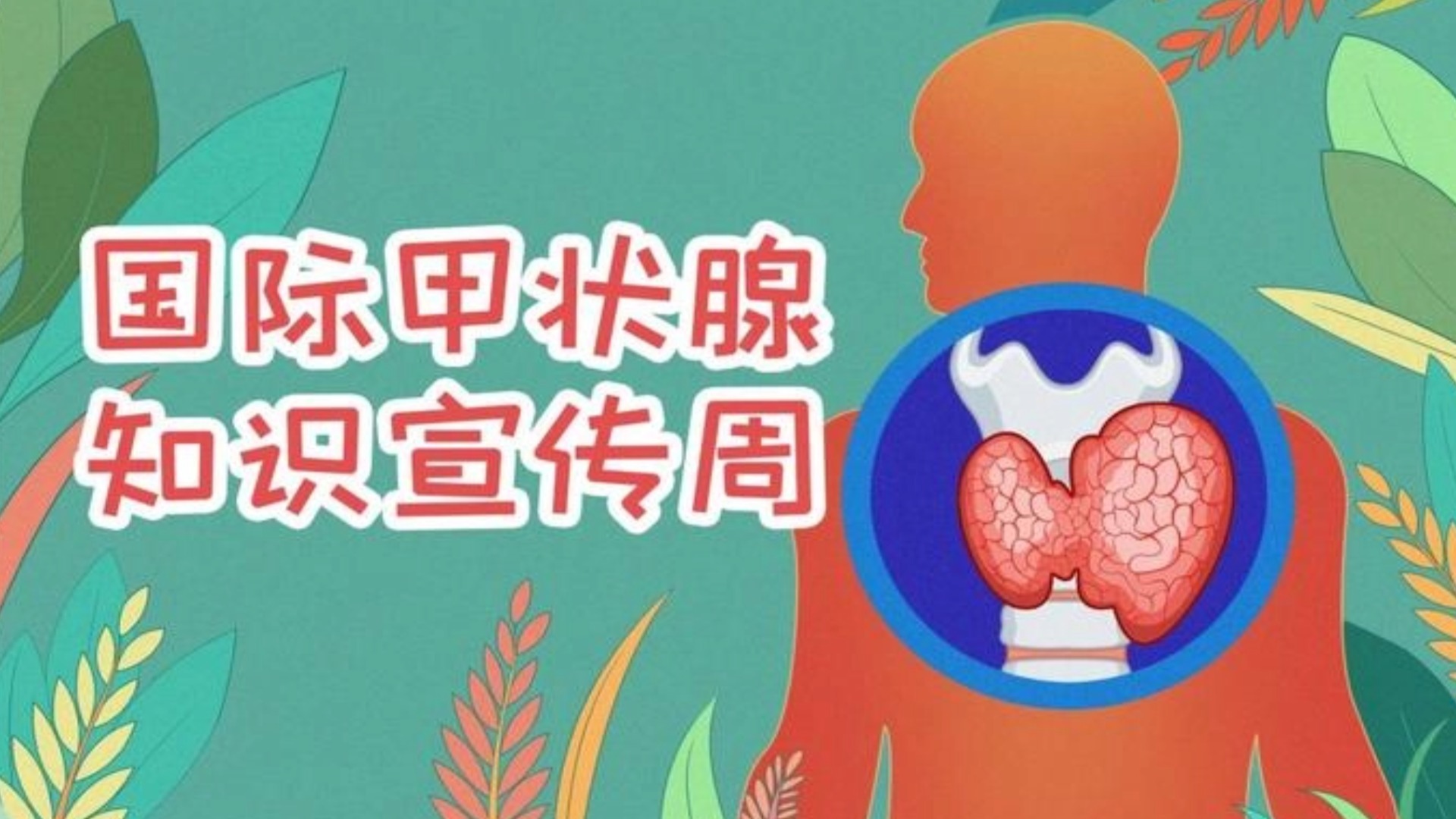 体检查出甲状腺结节该怎么办