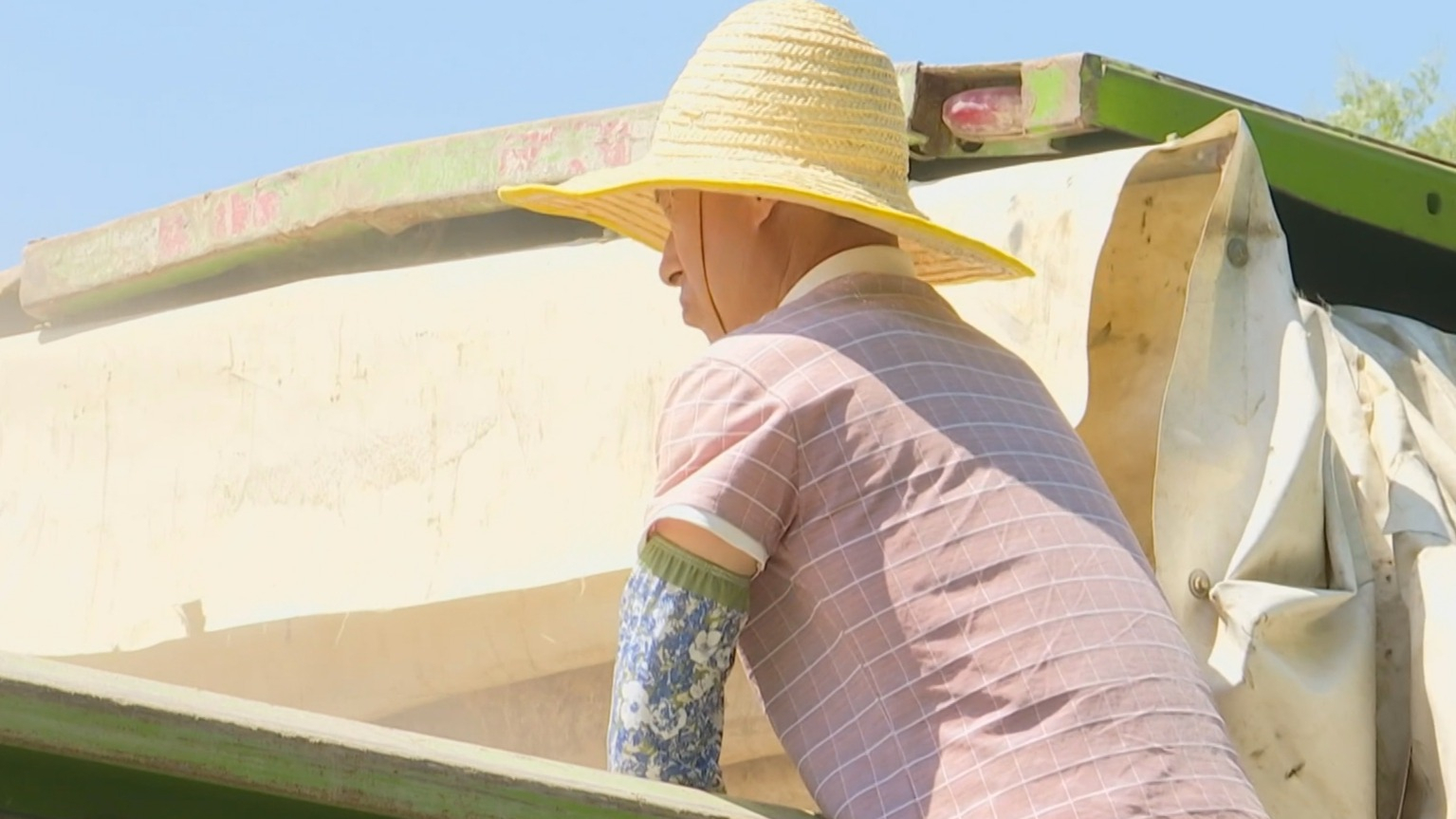 “三夏”抢农时 汗滴禾下土