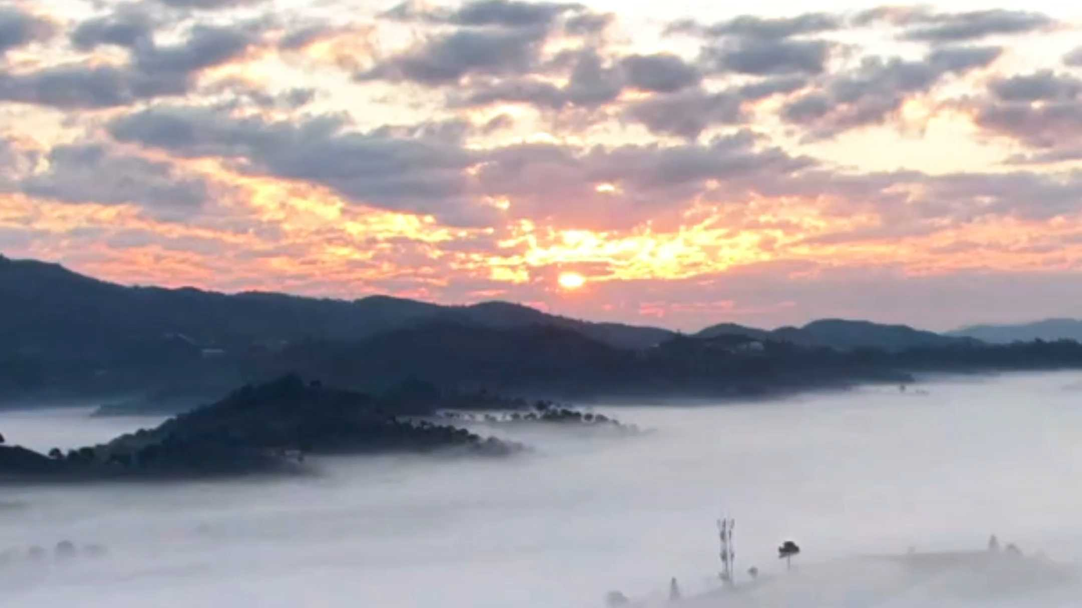 美到心醉!云南普洱万亩茶园迎冬日限定景致 美到心醉!云南普洱万亩茶园迎冬日限定景致
