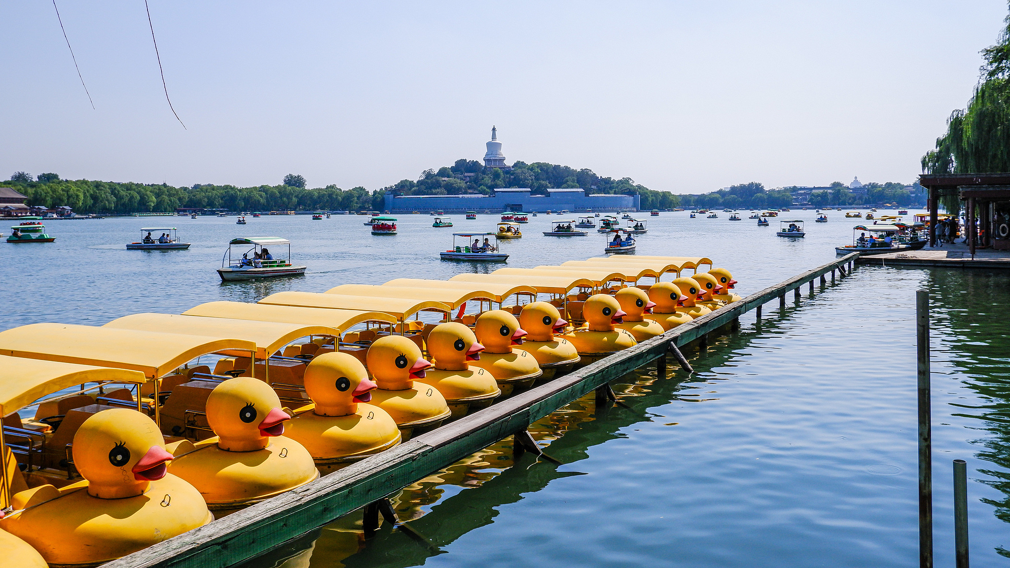 泛舟湖上，邂逅春天！5家市属公园游船明日同步开航！