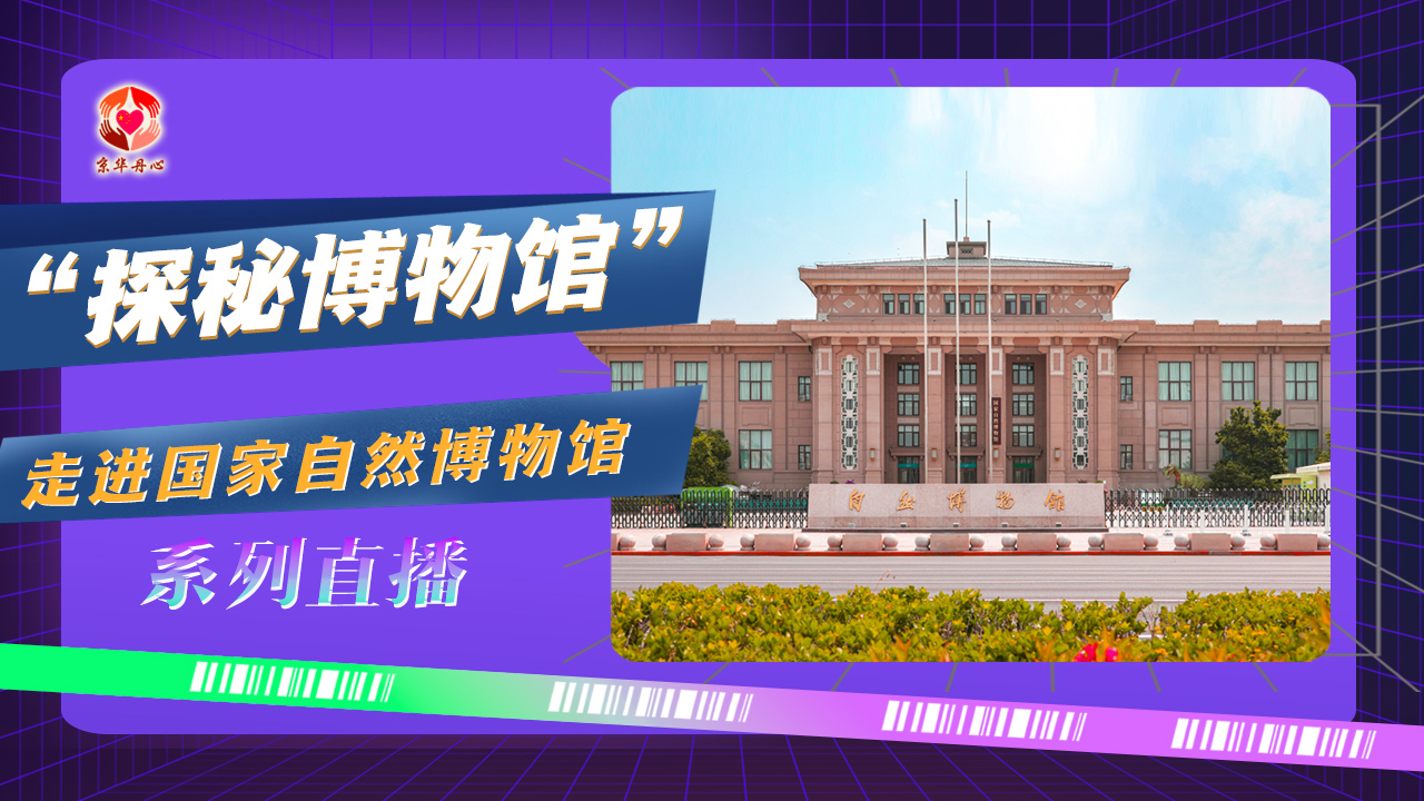“探秘博物馆”——走进国家自然博物馆