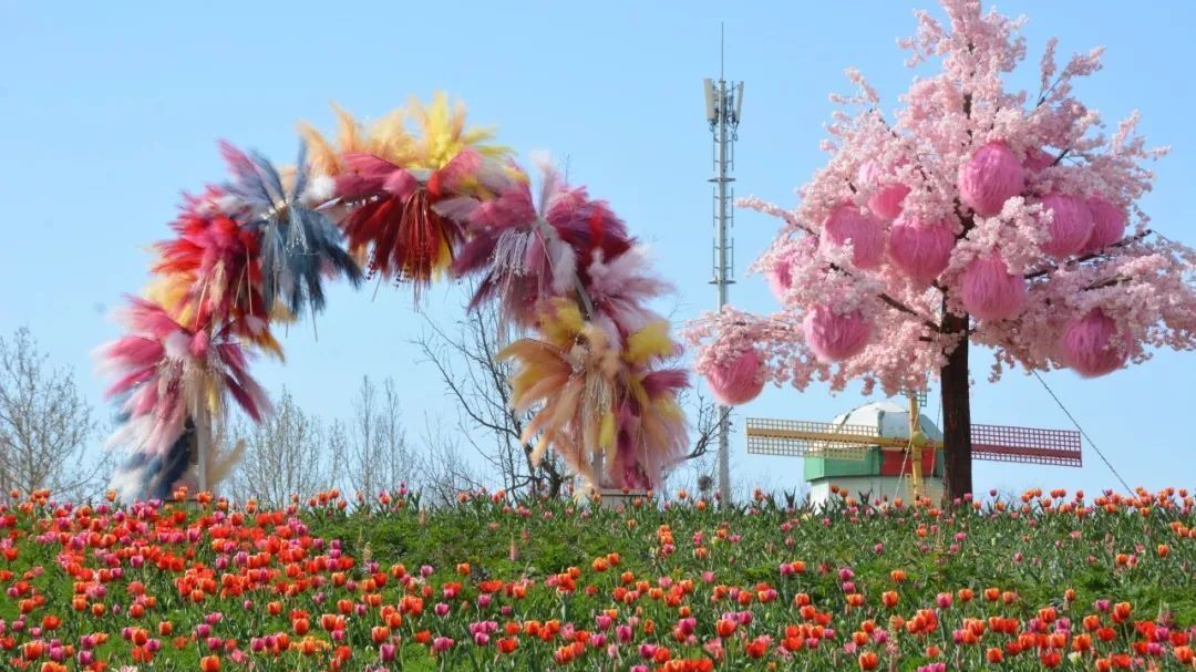 顺义春日“花漾巴士”，带你驶向缤纷趣乐园