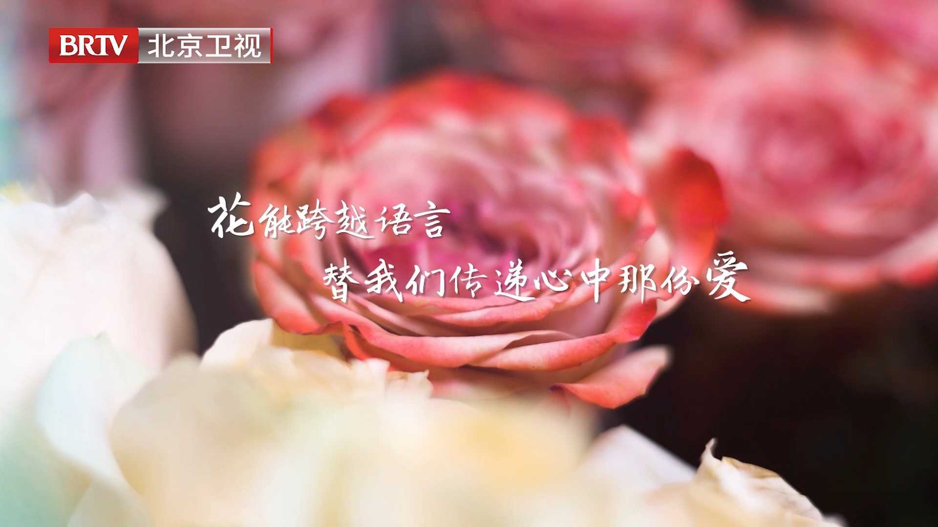 一米花园｜街采情侣金句频出，诠释爱人如养花真谛