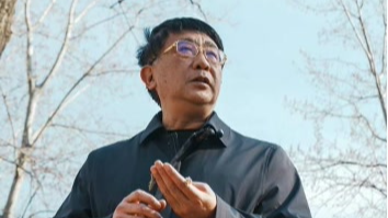 两年后控絮率仍超八成！北京万余棵杨柳树用上“护发素”