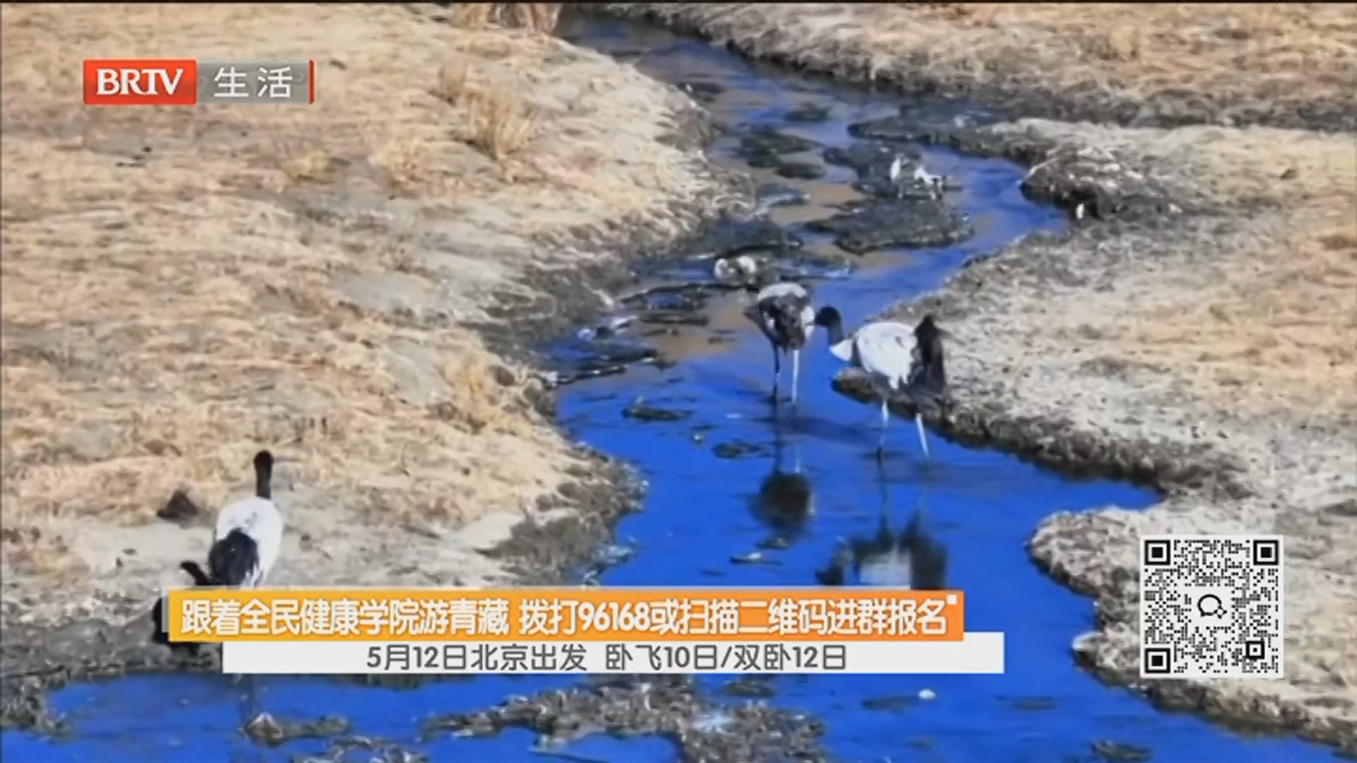 跟着全民健康学院游青藏 拨打96168或扫描二维码进群报名 5月12日北京出发 卧飞10日/双卧12日