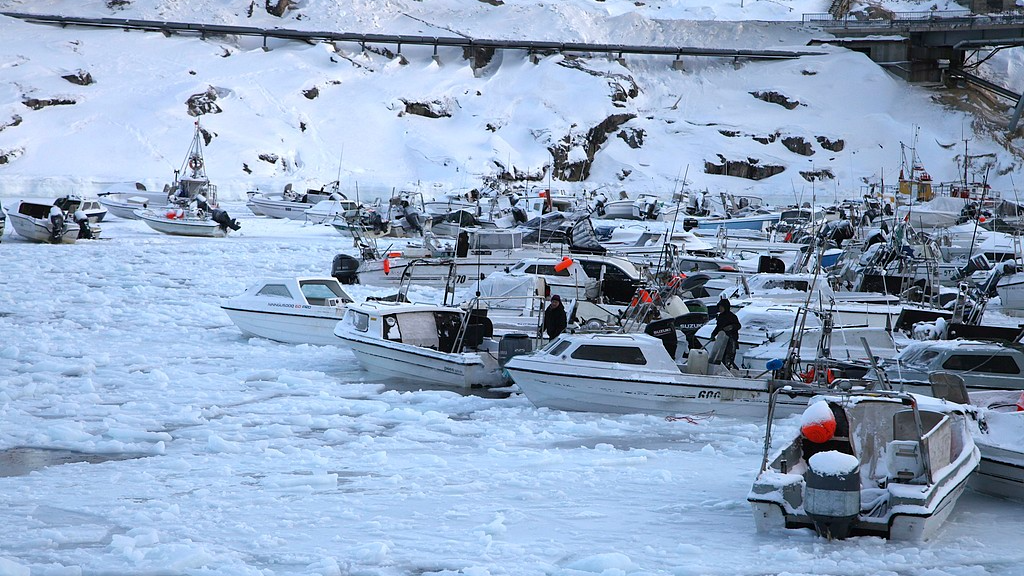 白宫说“打”，国务卿说“买”，美国国内存分歧