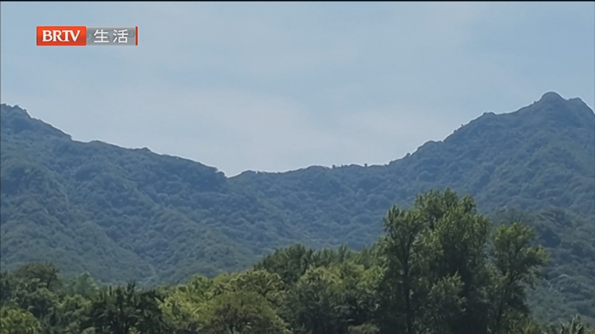 莫向野山行