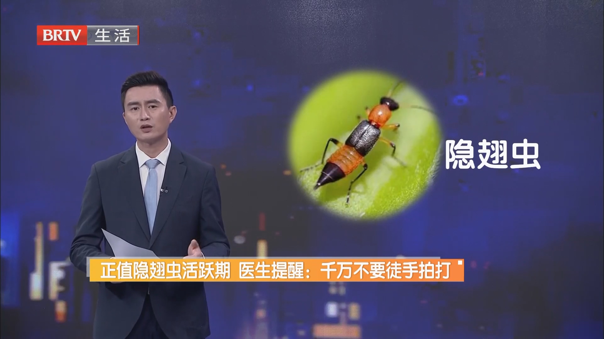正值隐翅虫活跃期 医生提醒：千万不要徒手拍打