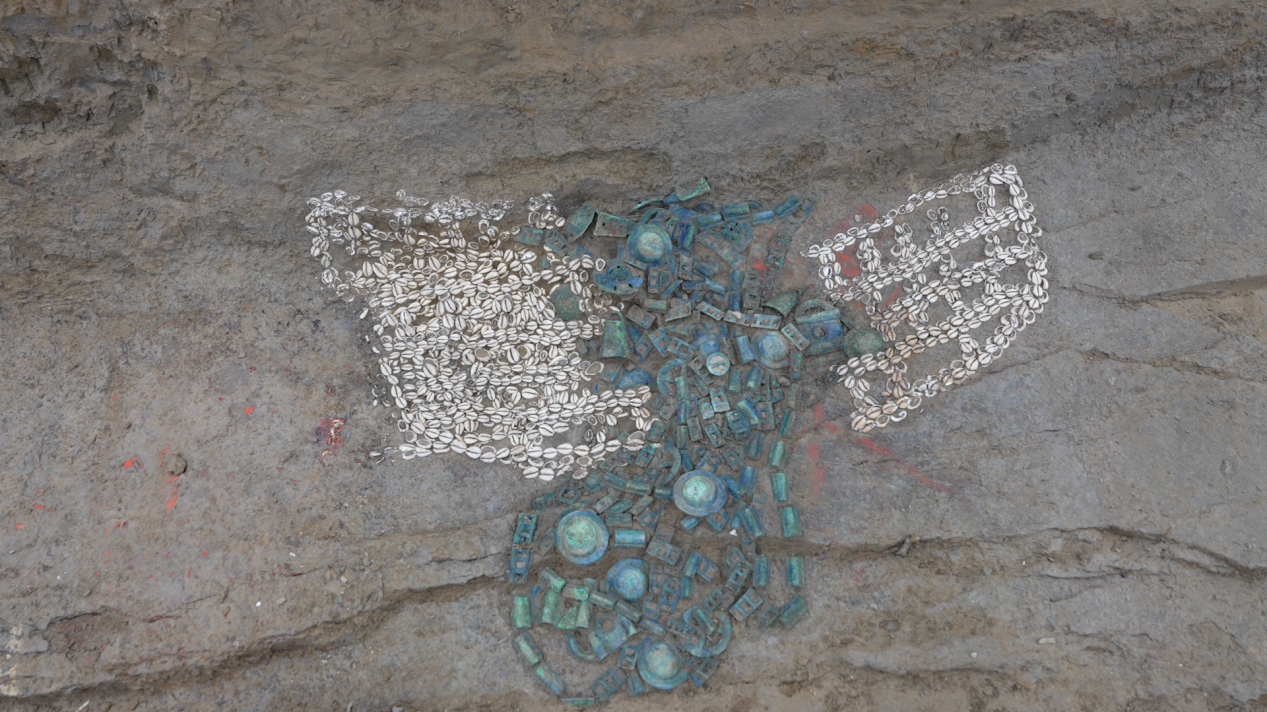 琉璃河燕侯墓启动考古发掘,出土罕见海贝铜器马辔饰 琉璃河燕侯墓启动考古发掘,出土罕见海贝铜器马辔饰