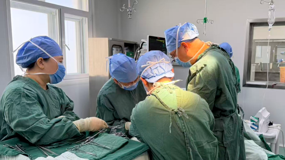 节日坚守——延庆区卫生健康系统扎实做好国庆假期健康保障
