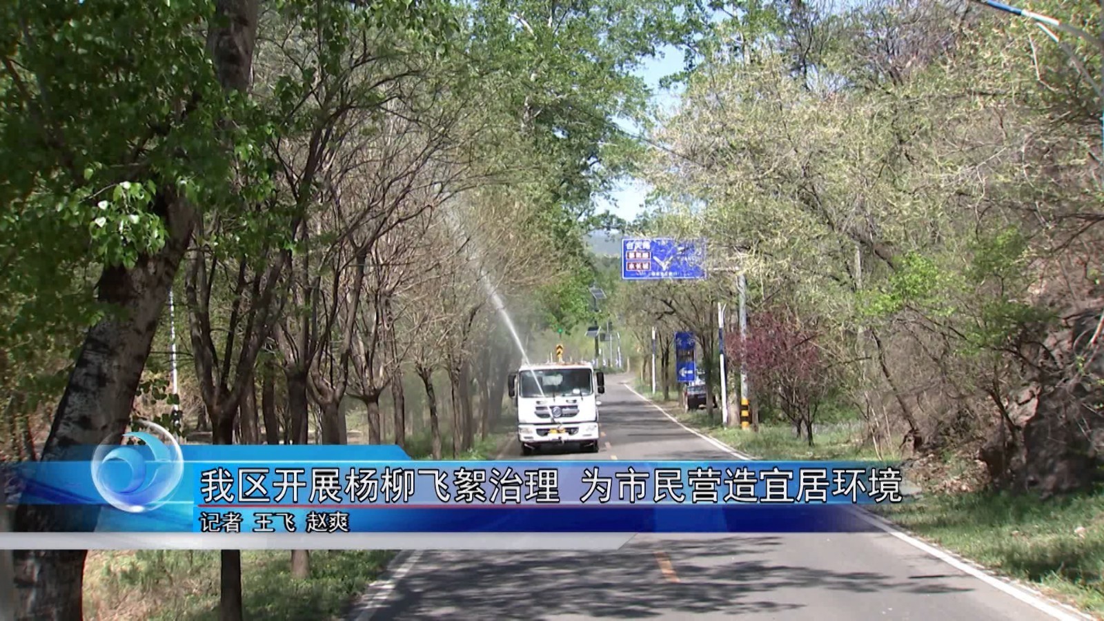 怀柔区开展杨柳飞絮治理 为市民营造宜居环境