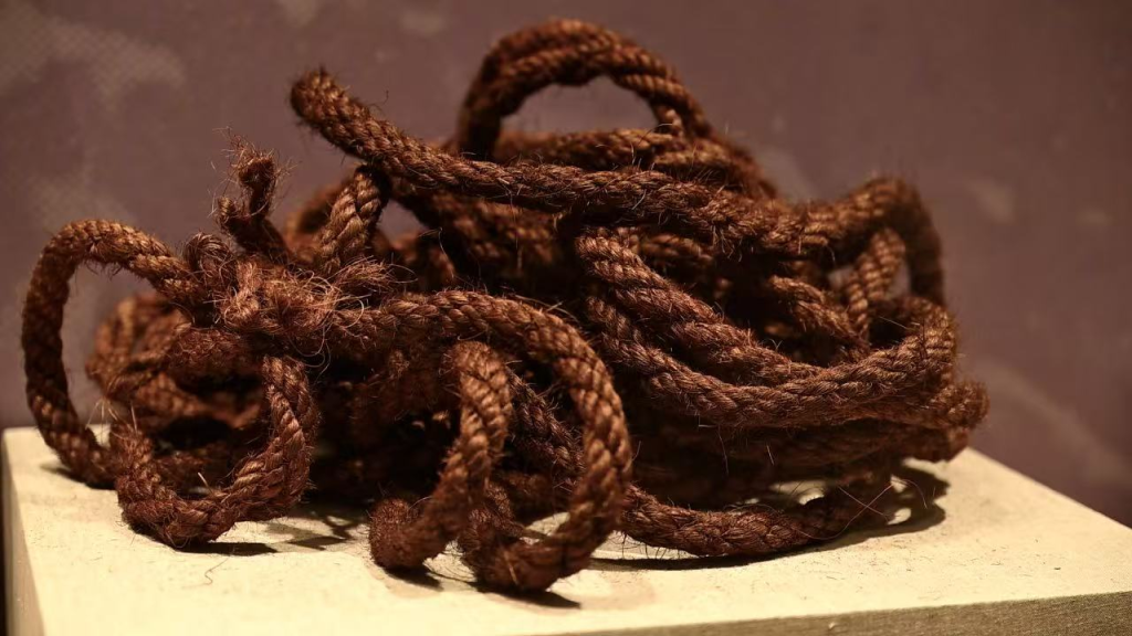 【遇见文物】红军强渡乌江时使用的棕绳 【遇见文物】红军强渡乌江时使用的棕绳