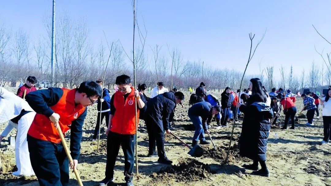 北京房山:“植”得美好 北京房山:“植”得美好