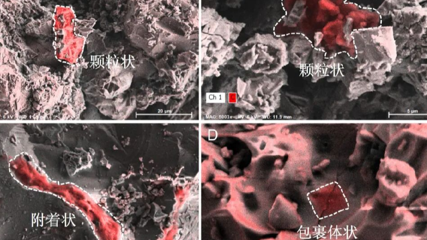 月壤“时间胶囊”揭示太阳系有机质演化史