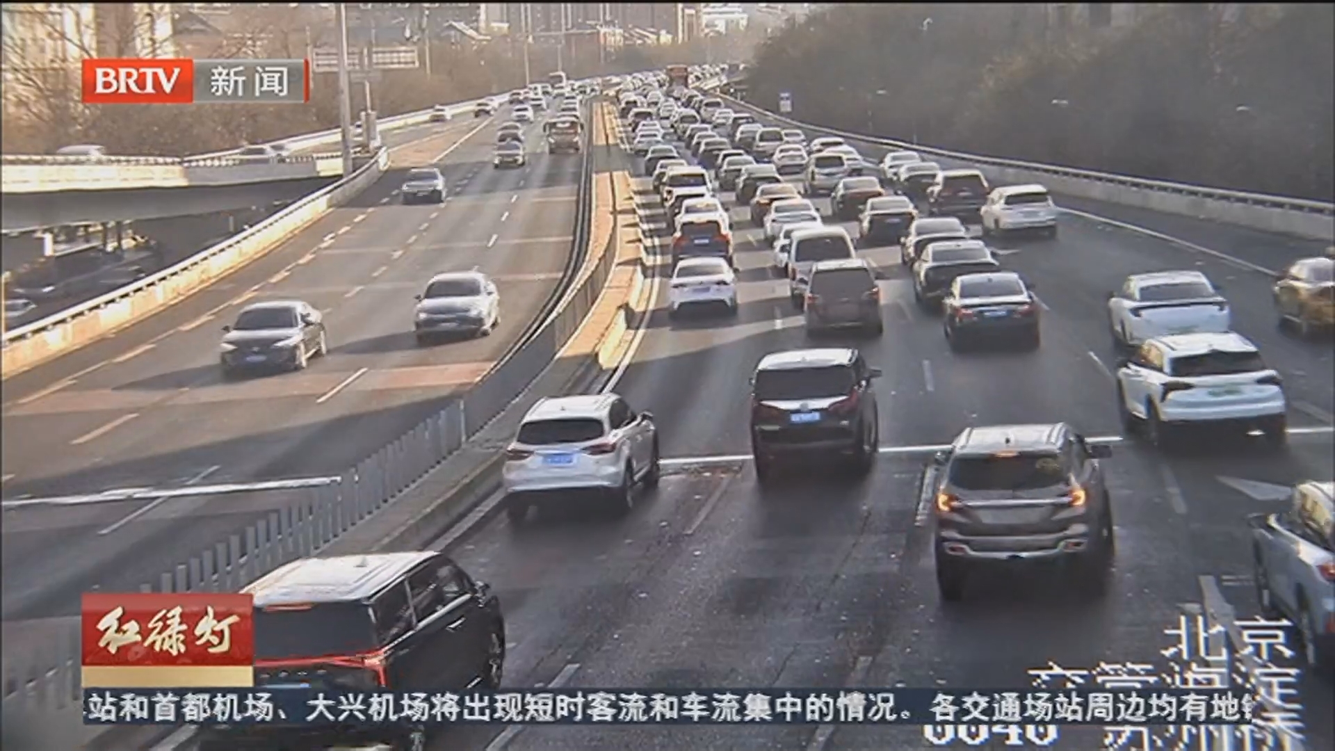 《红绿灯》20260205