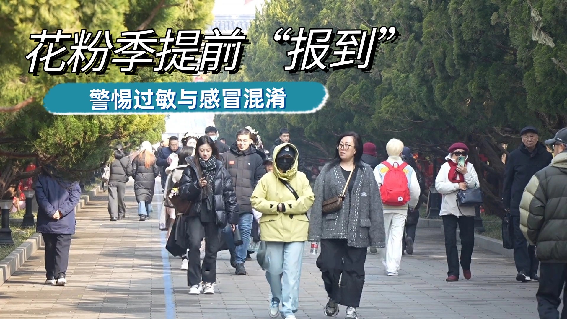 花粉季提前“报到” 警惕过敏与感冒混淆 花粉季提前“报到” 警惕过敏与感冒混淆