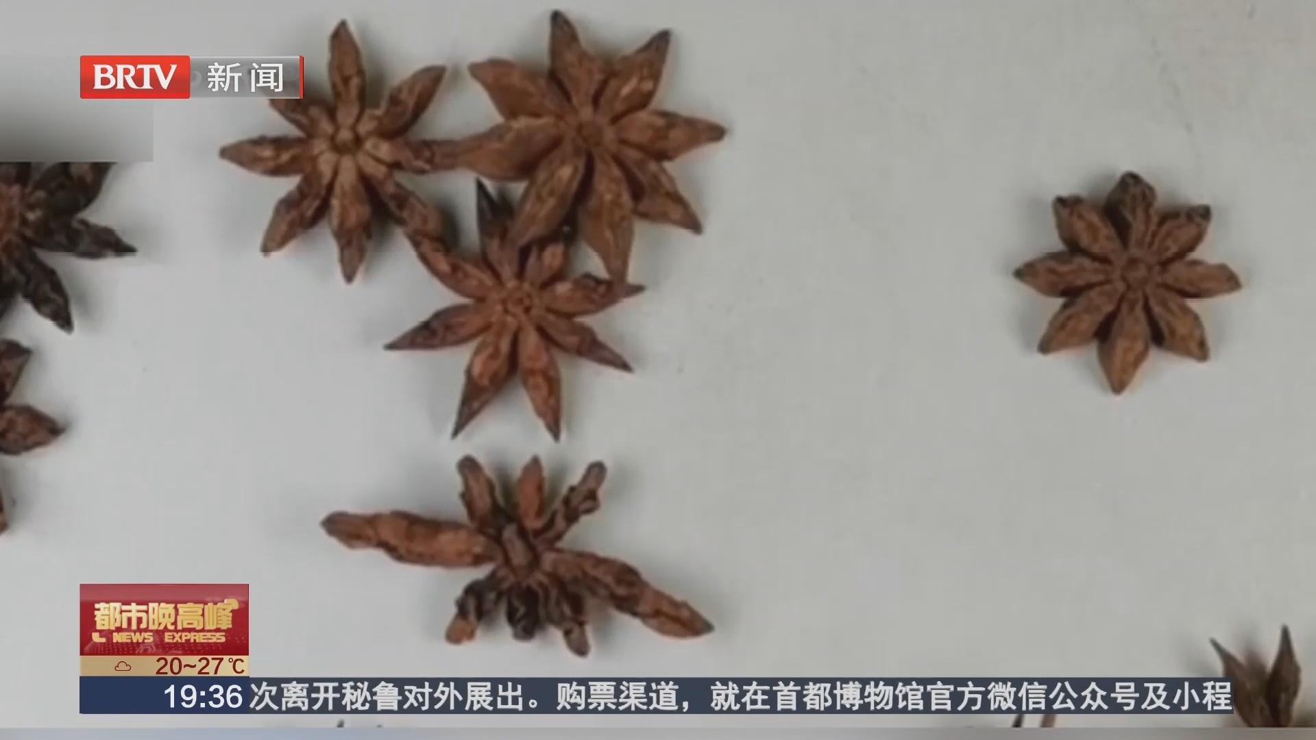 八角 莽草 分不清 辨别妙招请记牢