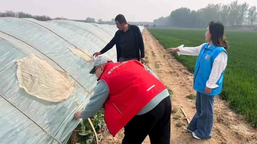 雨中救人 风中护棚 路上补坑……顺义区李遂镇的网格员有点“忙”