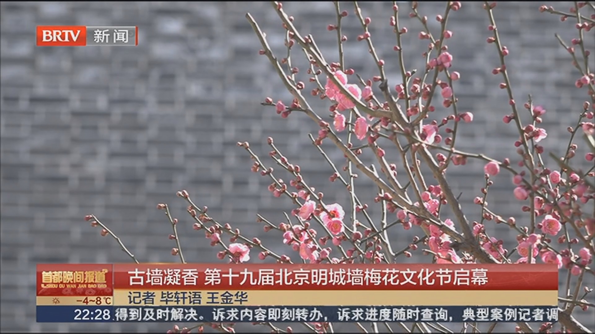 古墙凝香 第十九届北京明城墙梅花文化节启幕