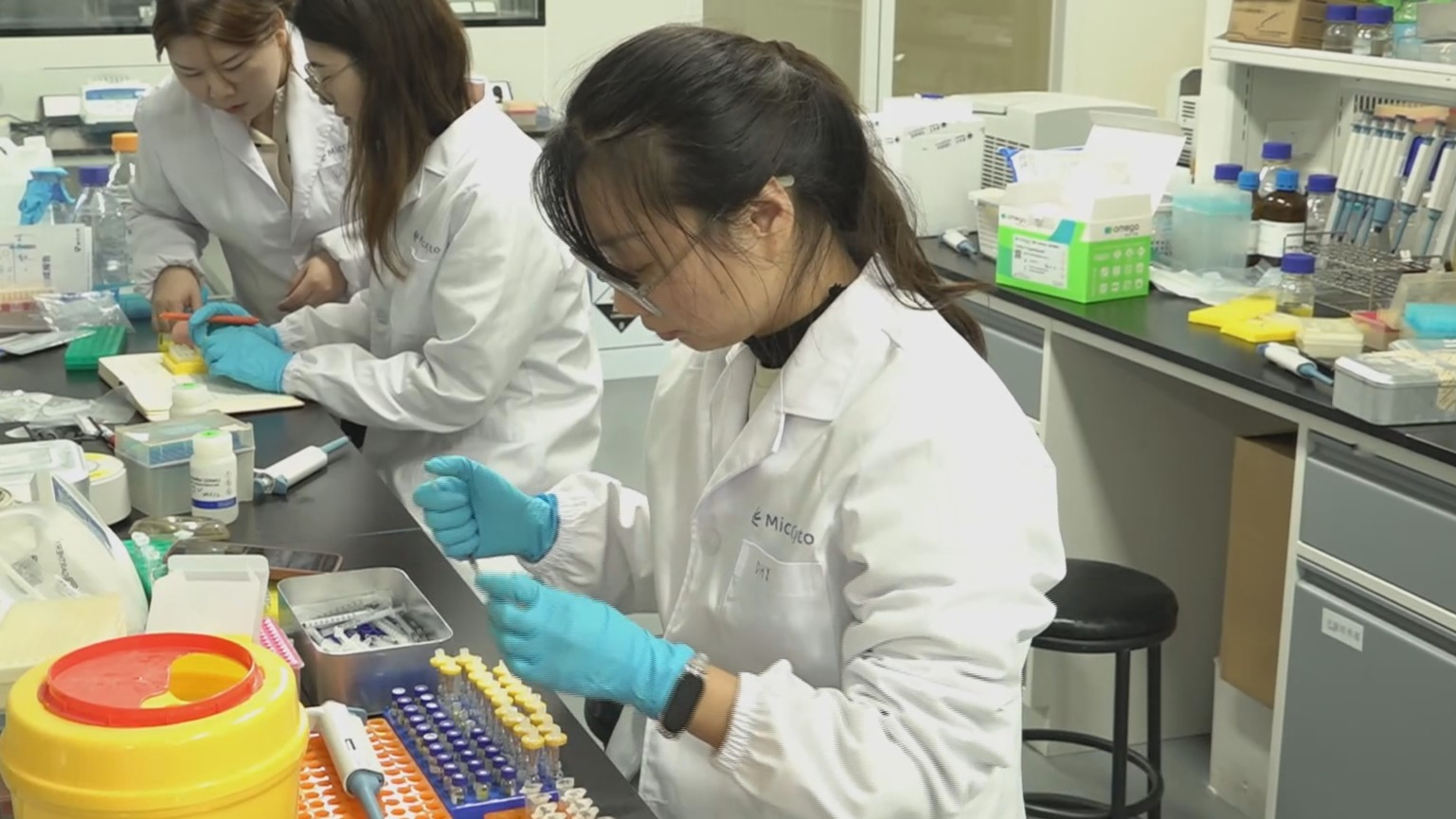 以新质生产力 推动首都高质量发展丨北京：合成生物“造”出黄金赛道