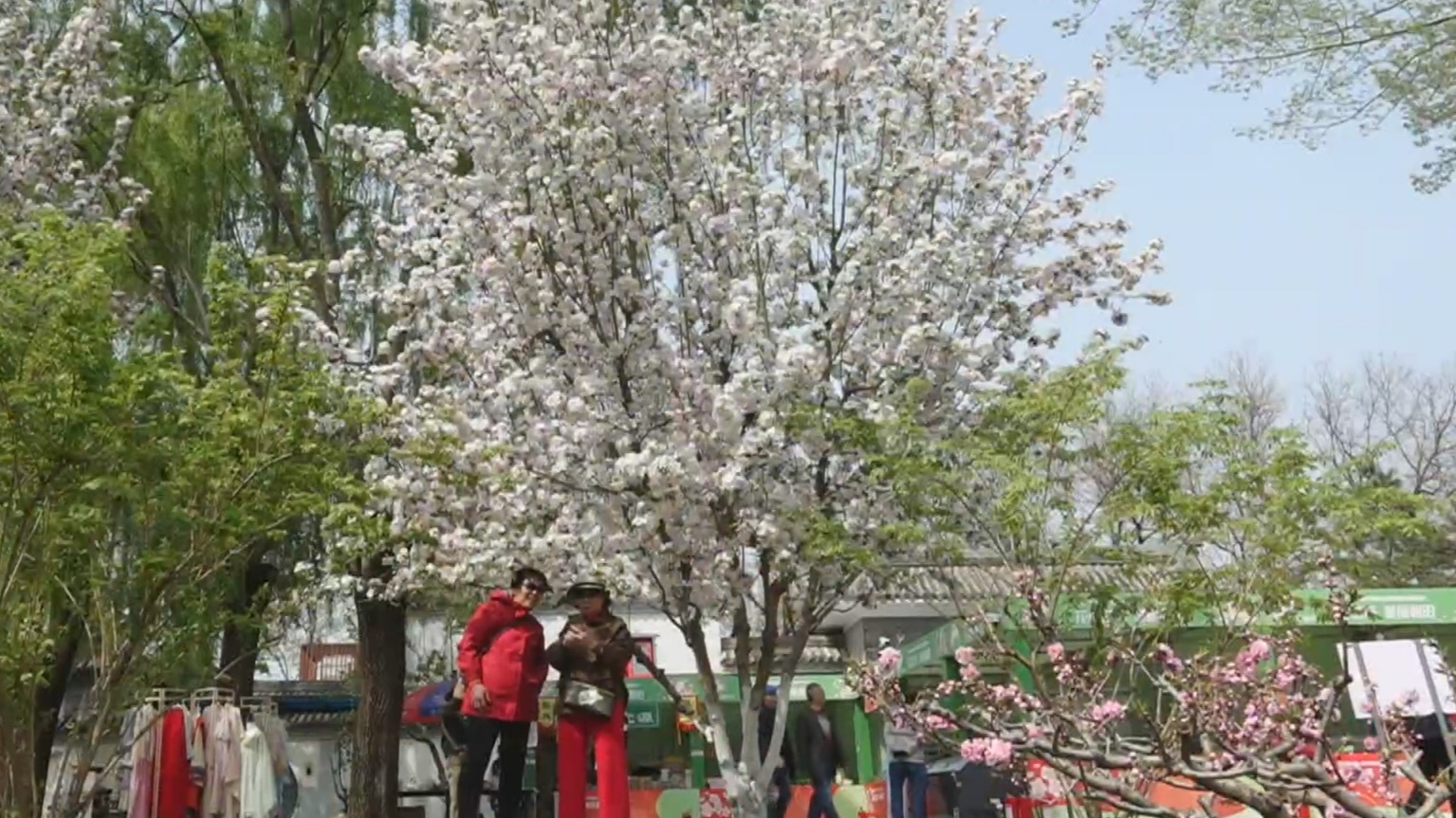 《市民对话一把手 提案办理面对面》第四期6月29日19：30全网推出