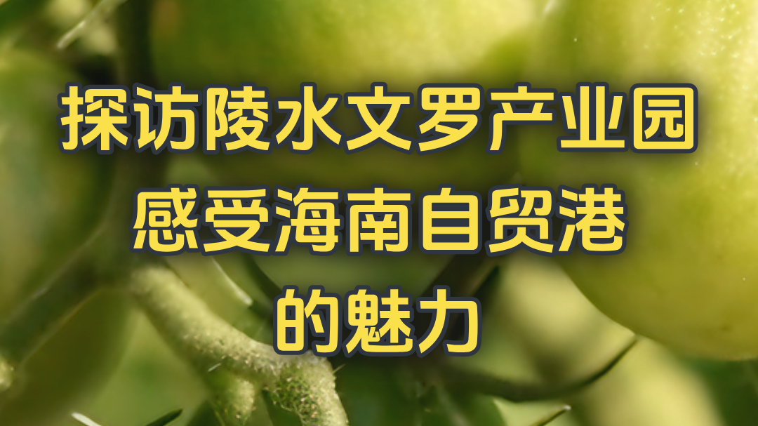 探访陵水文罗产业园 感受海南自贸港的魅力
