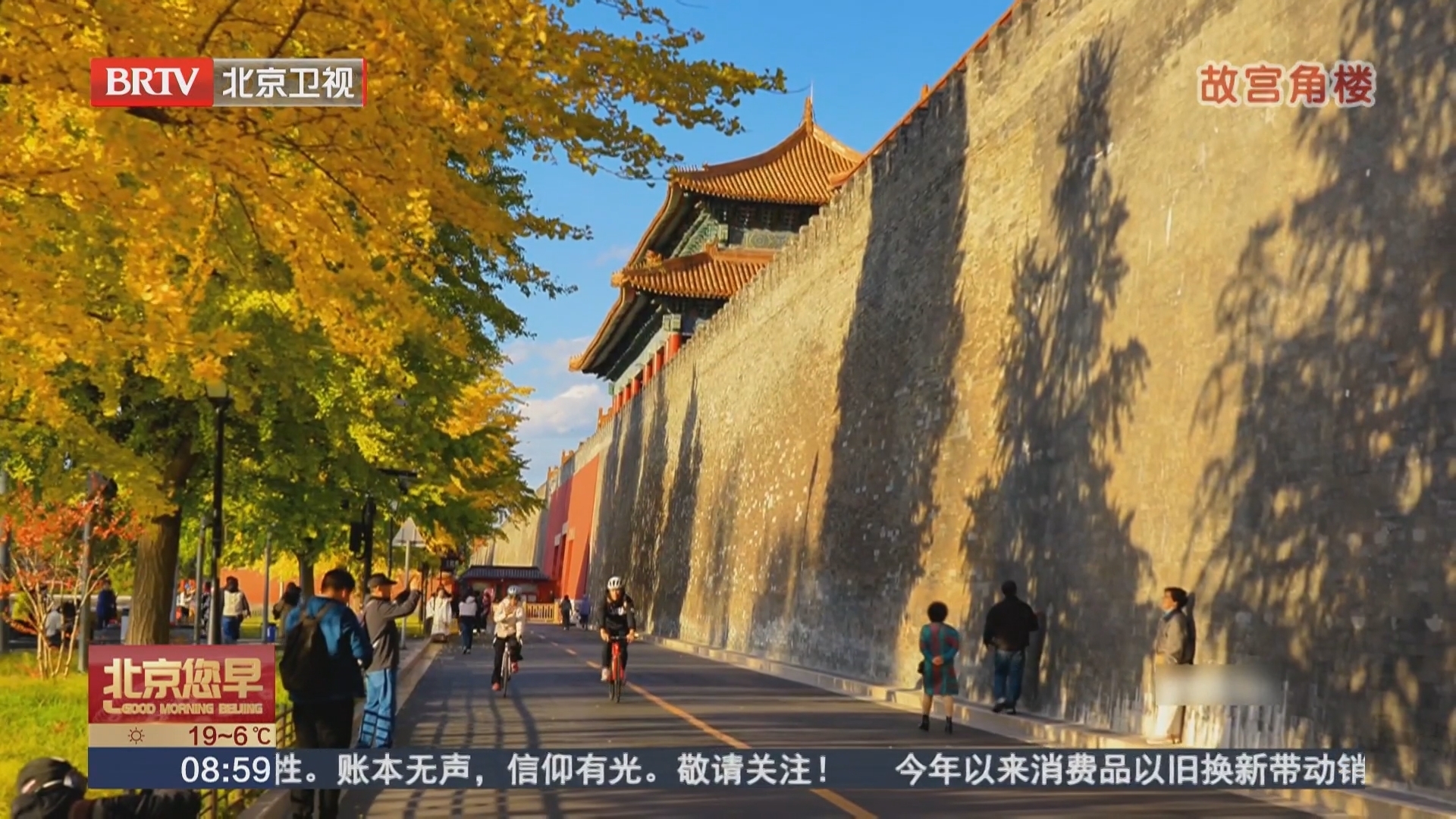 北京银杏陆续进入最佳观赏期 邂逅京城浪漫限定秋色