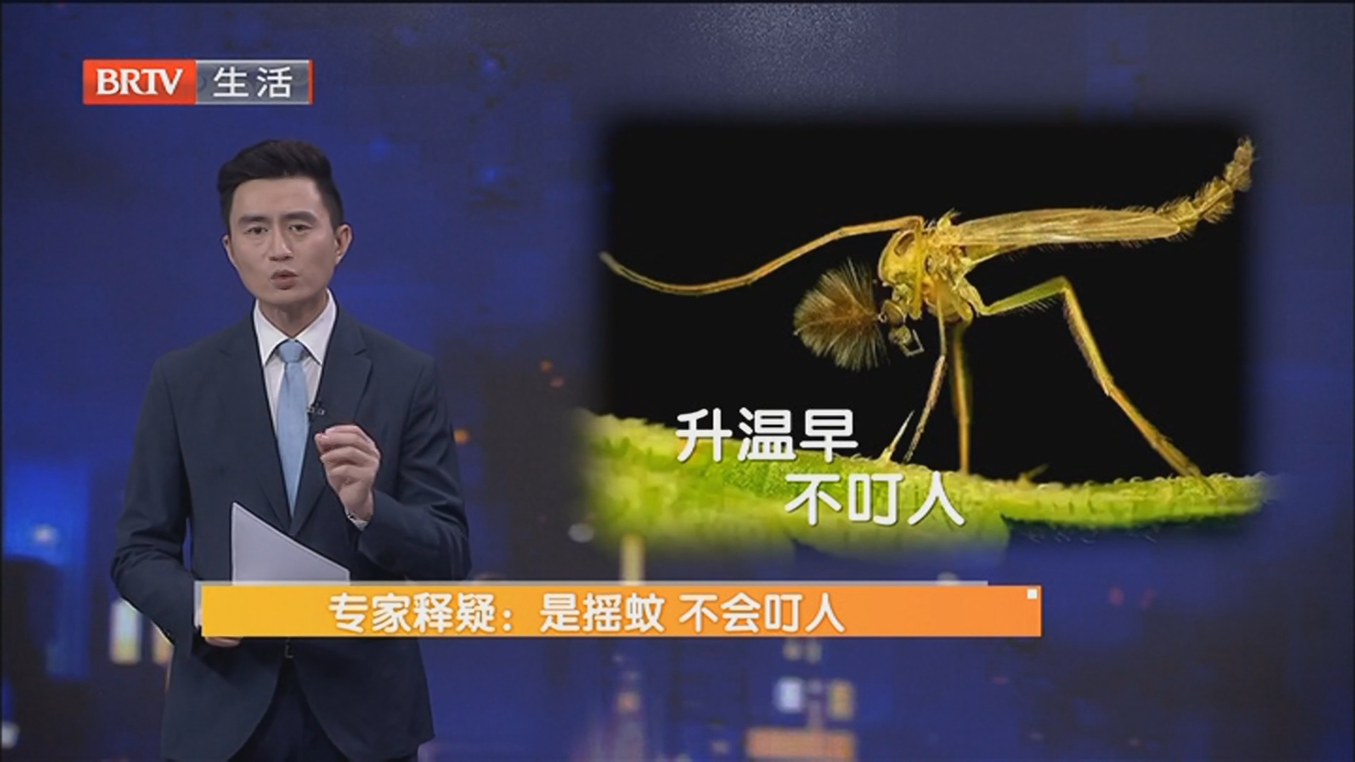 还没入夏河边有大团蚊子扎堆扑脸 专家释疑：是摇蚊 不会叮人