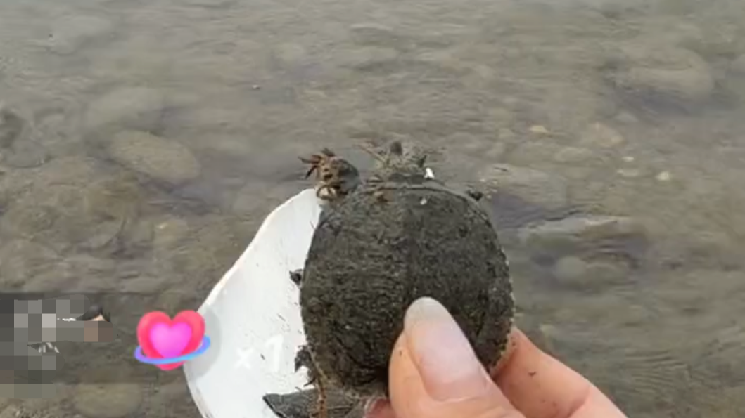 “功德”被明码标价,揭开直播间“打赏放生”的生态隐患 “功德”被明码标价,揭开直播间“打赏放生”的生态隐患