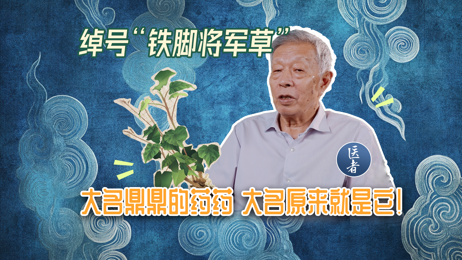 医者｜绰号“铁脚将军草”大名鼎鼎的药药 大名原来就是它
