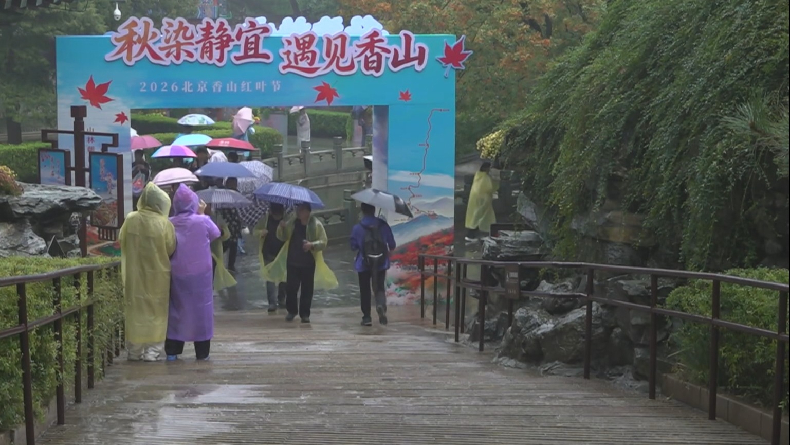 香山红叶节迎开幕后首个周末 市民游客冒雨赏秋