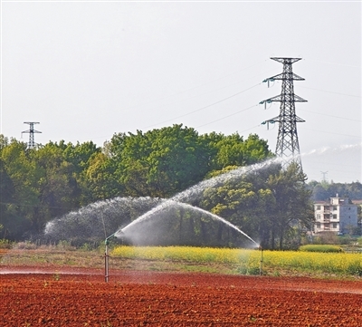 又“酸”又“瘦”的荒坡，这样变沃土