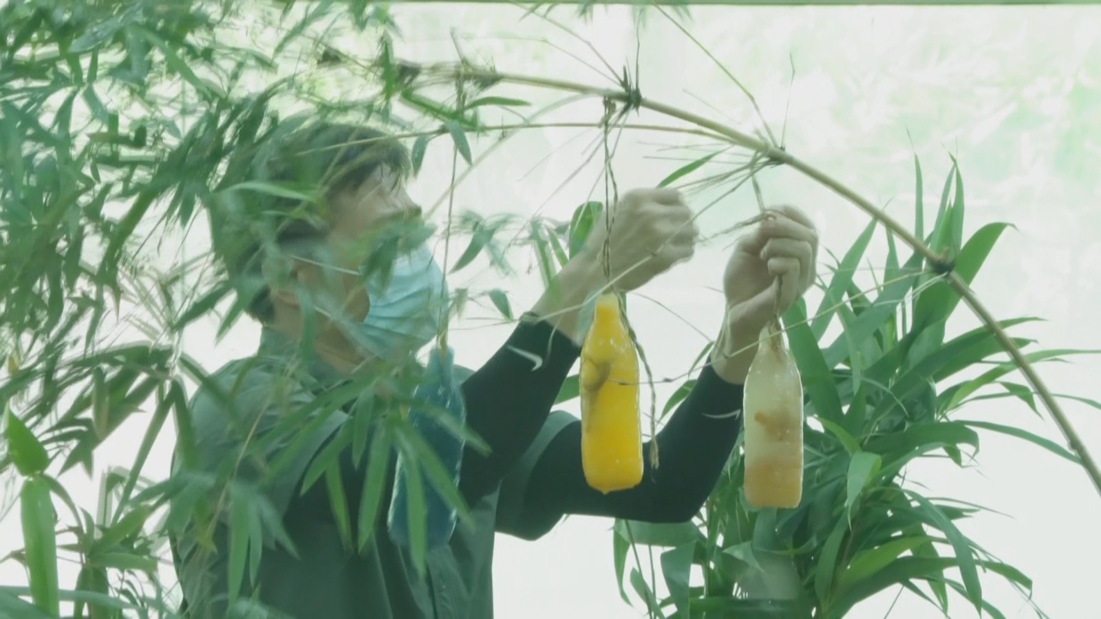 动物花式降温 广州动物园开启防暑模式 动物花式降温 广州动物园开启防暑模式