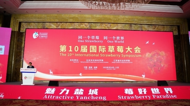共赴“莓”好之约！昌平草莓亮相第十届世界草莓大会