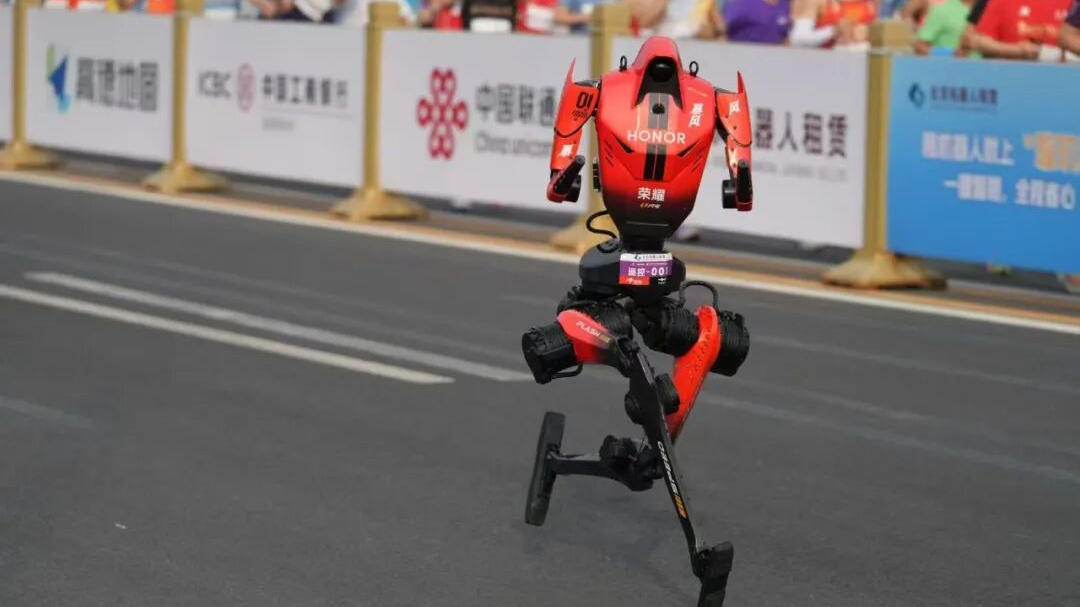 去年还“掉脑袋”,今年直接封神! 去年还“掉脑袋”,今年直接封神!