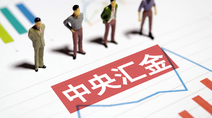 中央汇金再度“扫货” 中央汇金再度“扫货”