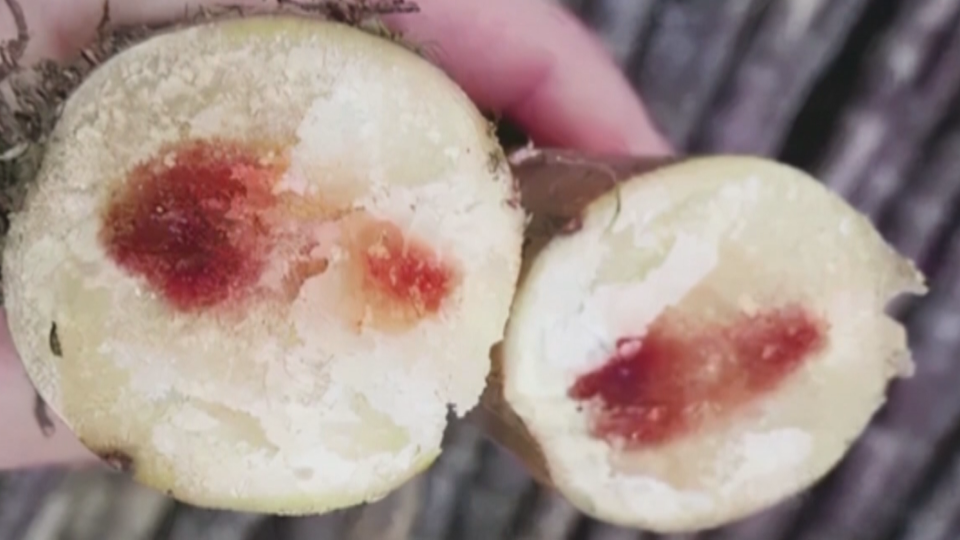 正大量上市!吃不对,有毒! 正大量上市!吃不对,有毒!